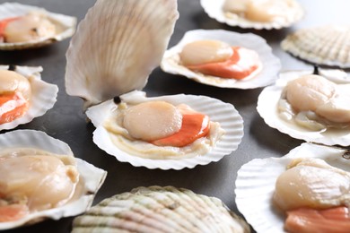 Photo of Fresh raw scallops with shells on grey table, closeup