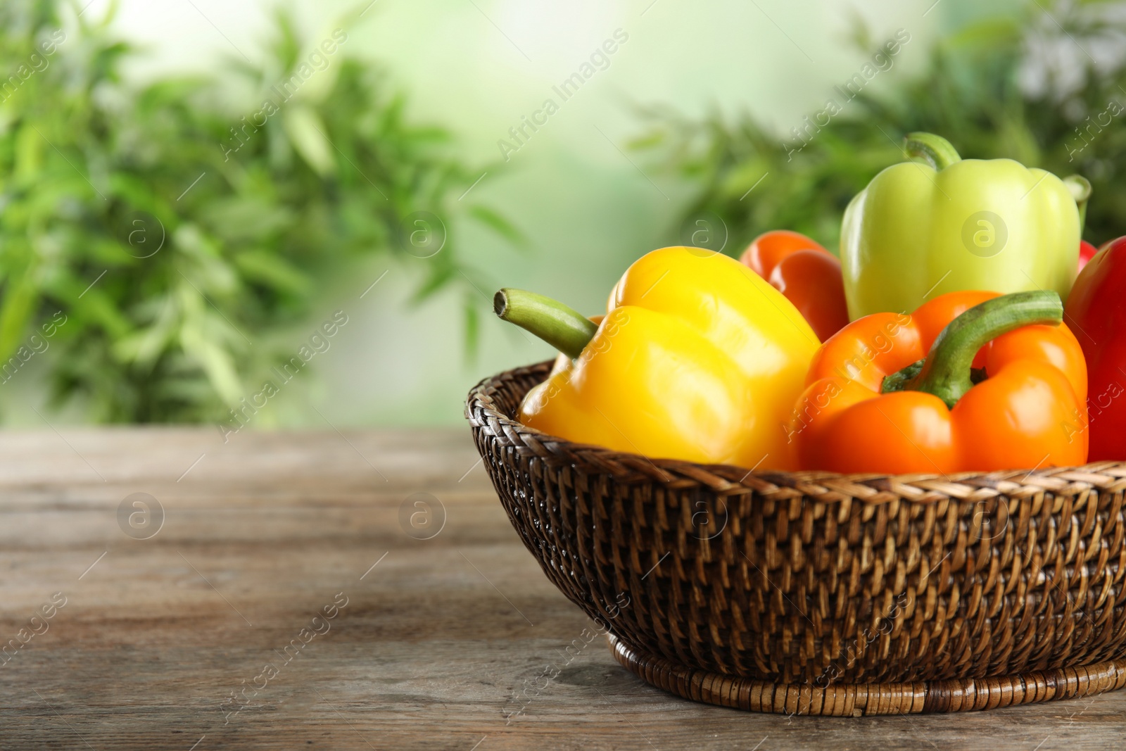 Photo of Wicker bowl with ripe bell peppers on wooden table against blurred background, closeup. Space for text