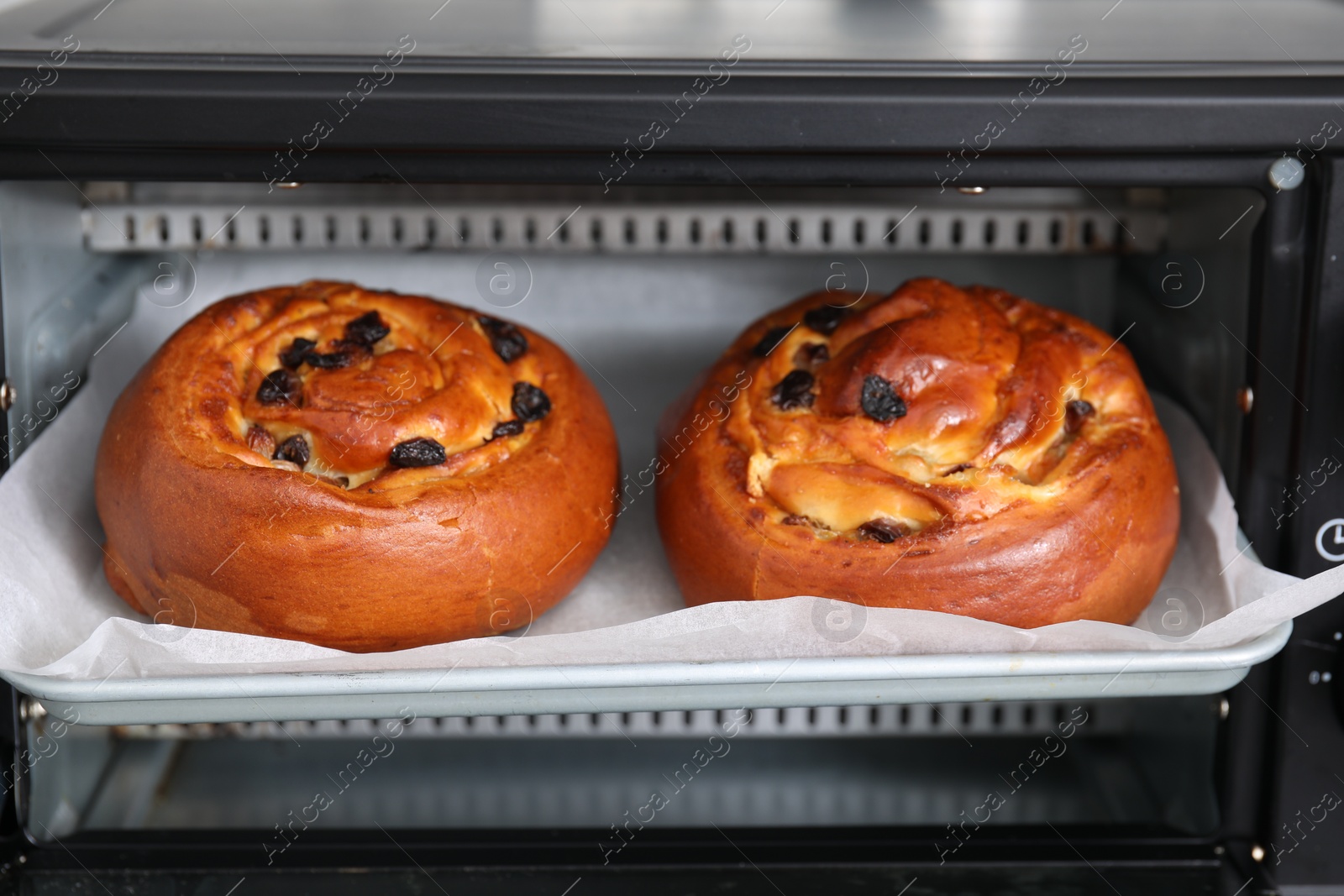 Photo of Delicious rolls with raisins on baking tray in oven. Cooking sweet buns