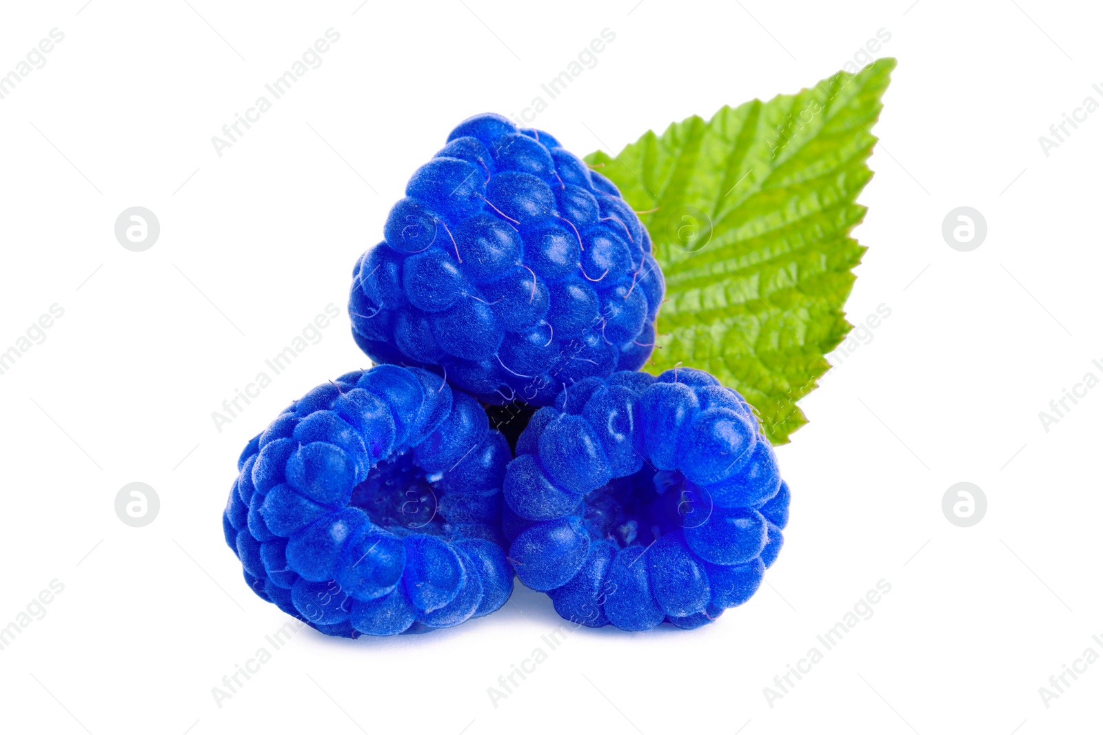 Image of Fresh tasty blue raspberries isolated on white