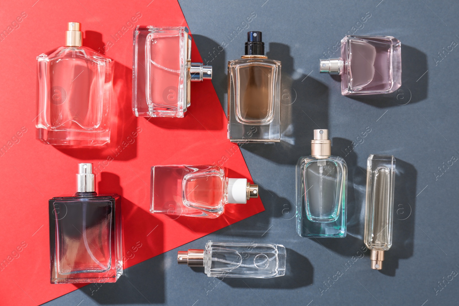 Photo of Perfume bottles on colorful background, flat lay