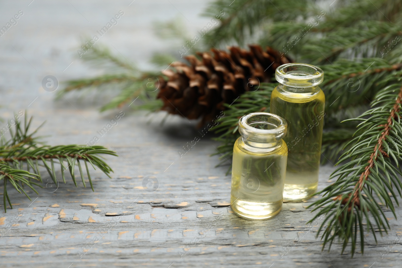 Photo of Pine essential oil, cone and branches on grey wooden table, closeup. Space for text