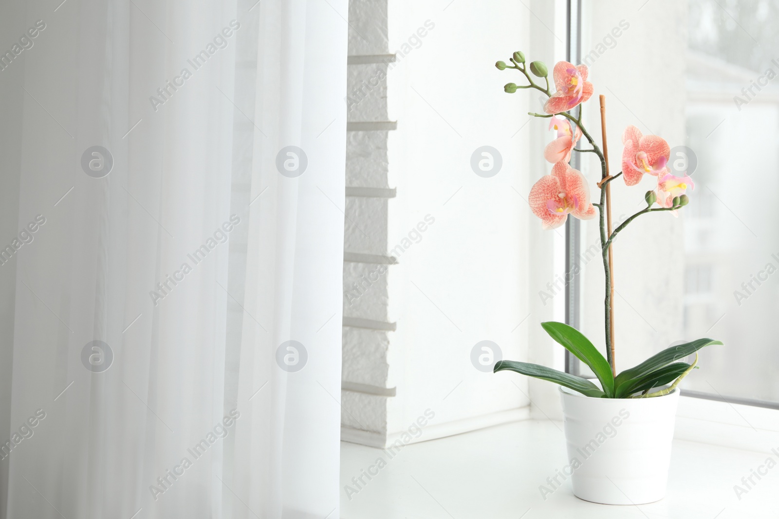 Photo of Beautiful artificial plant in flower pot on window sill. Space for text