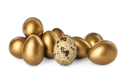 Photo of Golden eggs and quail one on white background