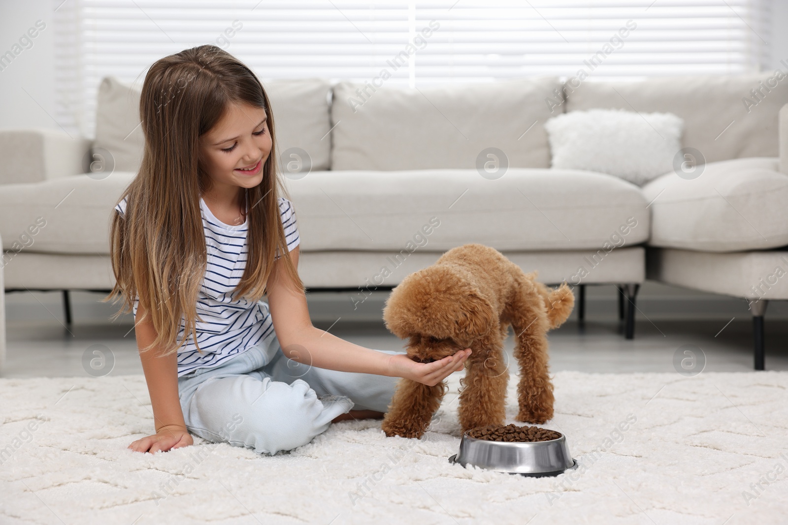 Photo of Little child feeding cute puppy on carpet at home. Lovely pet