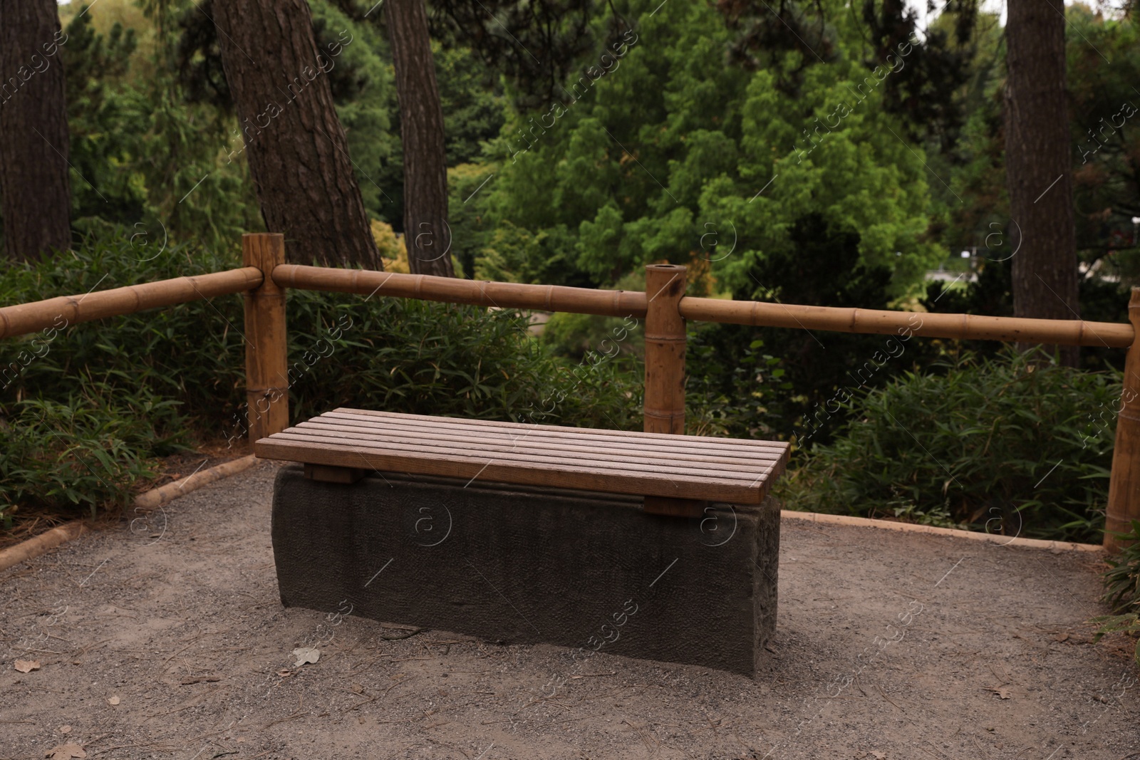 Photo of Stylish bench and beautiful green plants in park