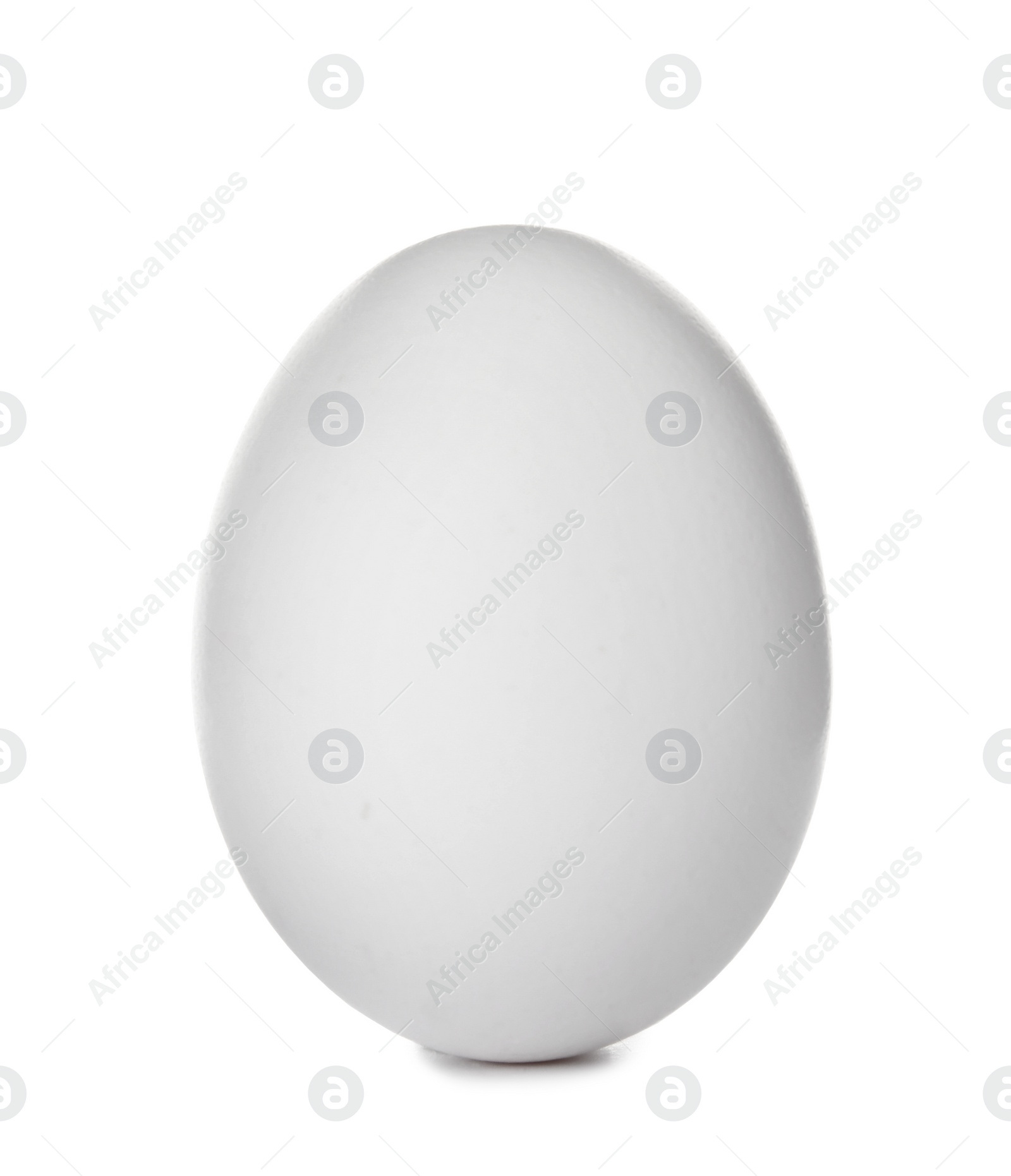 Photo of Single raw chicken egg on white background