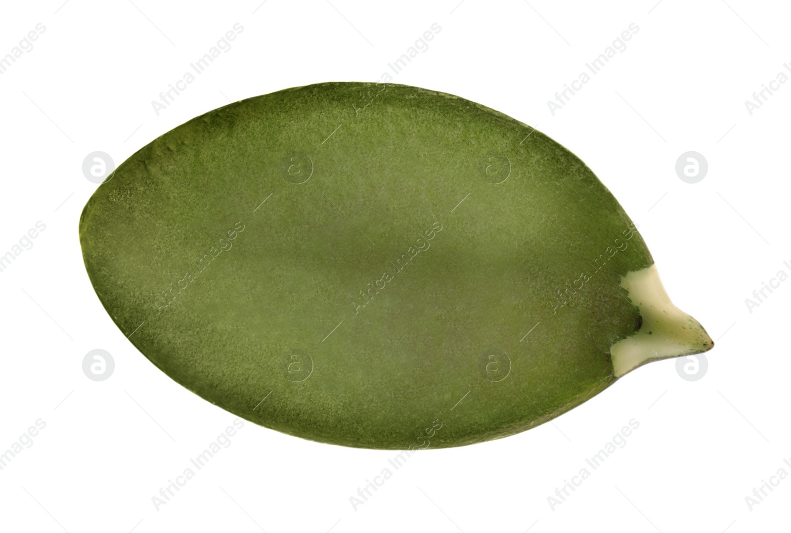 Photo of One peeled pumpkin seed isolated on white, top view