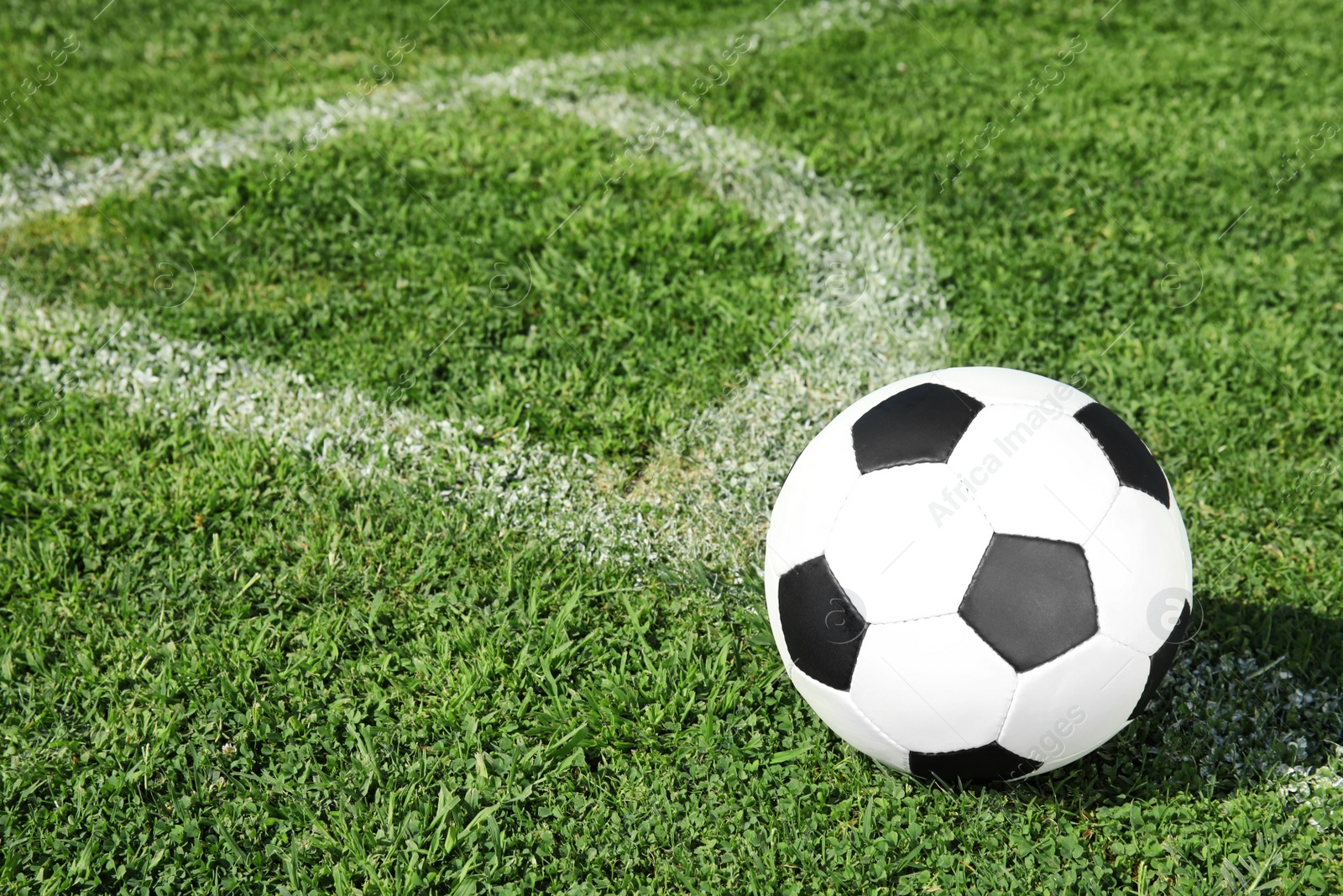 Photo of Soccer ball on fresh green football field grass. Space for text