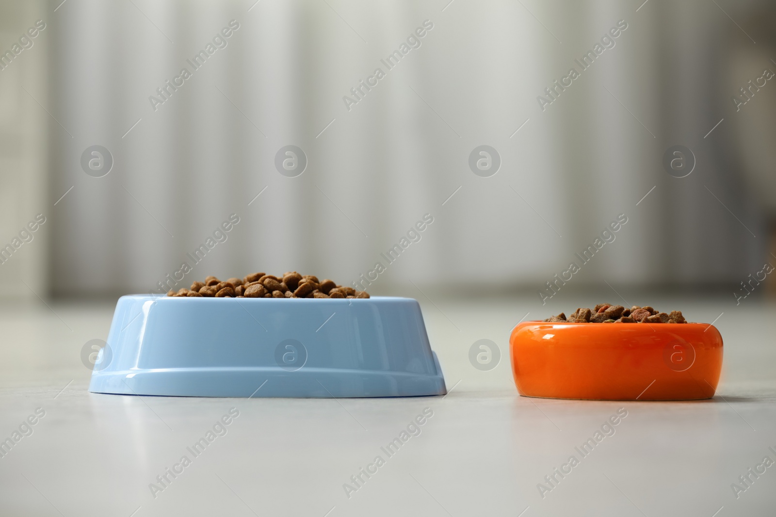 Photo of Dry food in pet bowls on floor indoors