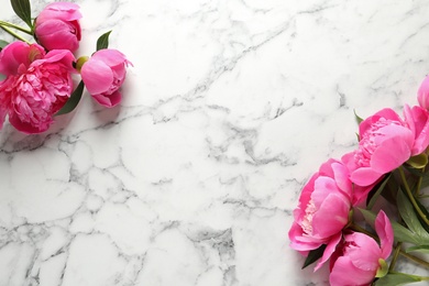 Fragrant peonies on marble background, flat lay with space for text. Beautiful spring flowers