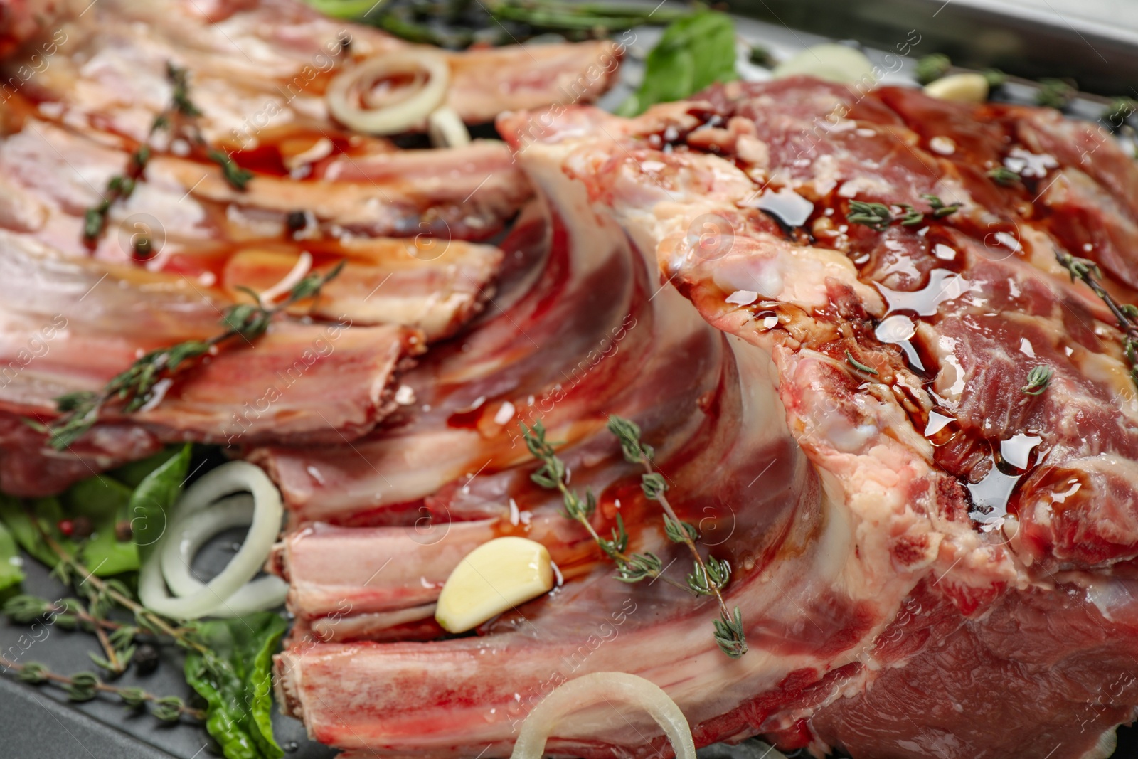 Photo of Raw spare ribs with herbs and seasonings, closeup