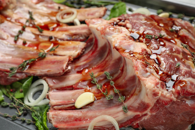 Photo of Raw spare ribs with herbs and seasonings, closeup