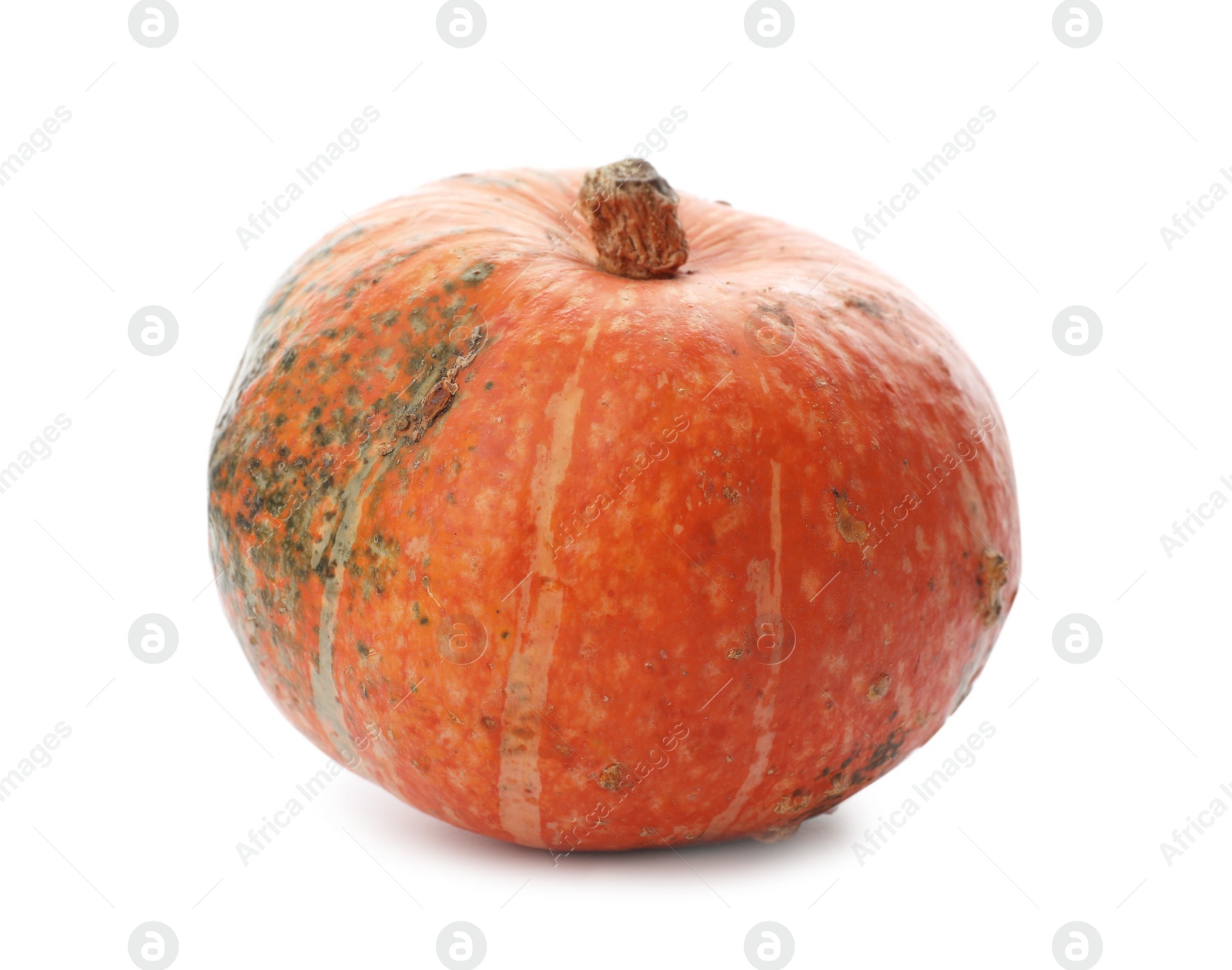 Photo of Fresh raw pumpkin isolated on white. Organic plant