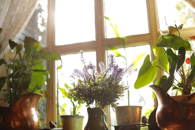 Photo of Beautiful view of sunlit houseplants on window sill