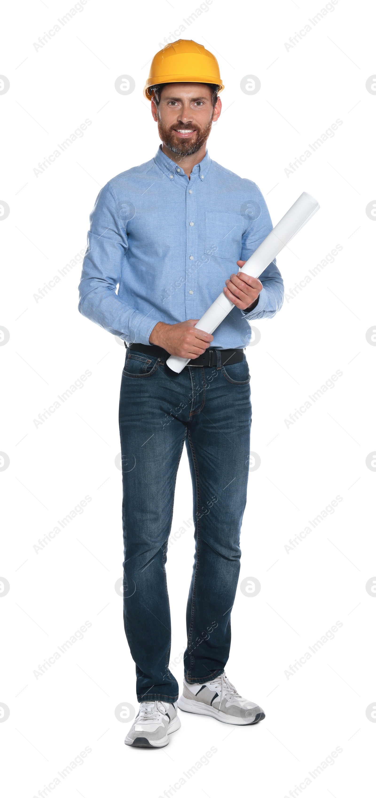 Photo of Professional engineer in hard hat with draft isolated on white