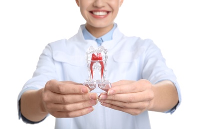 Photo of Female dentist holding tooth model on white background, closeup