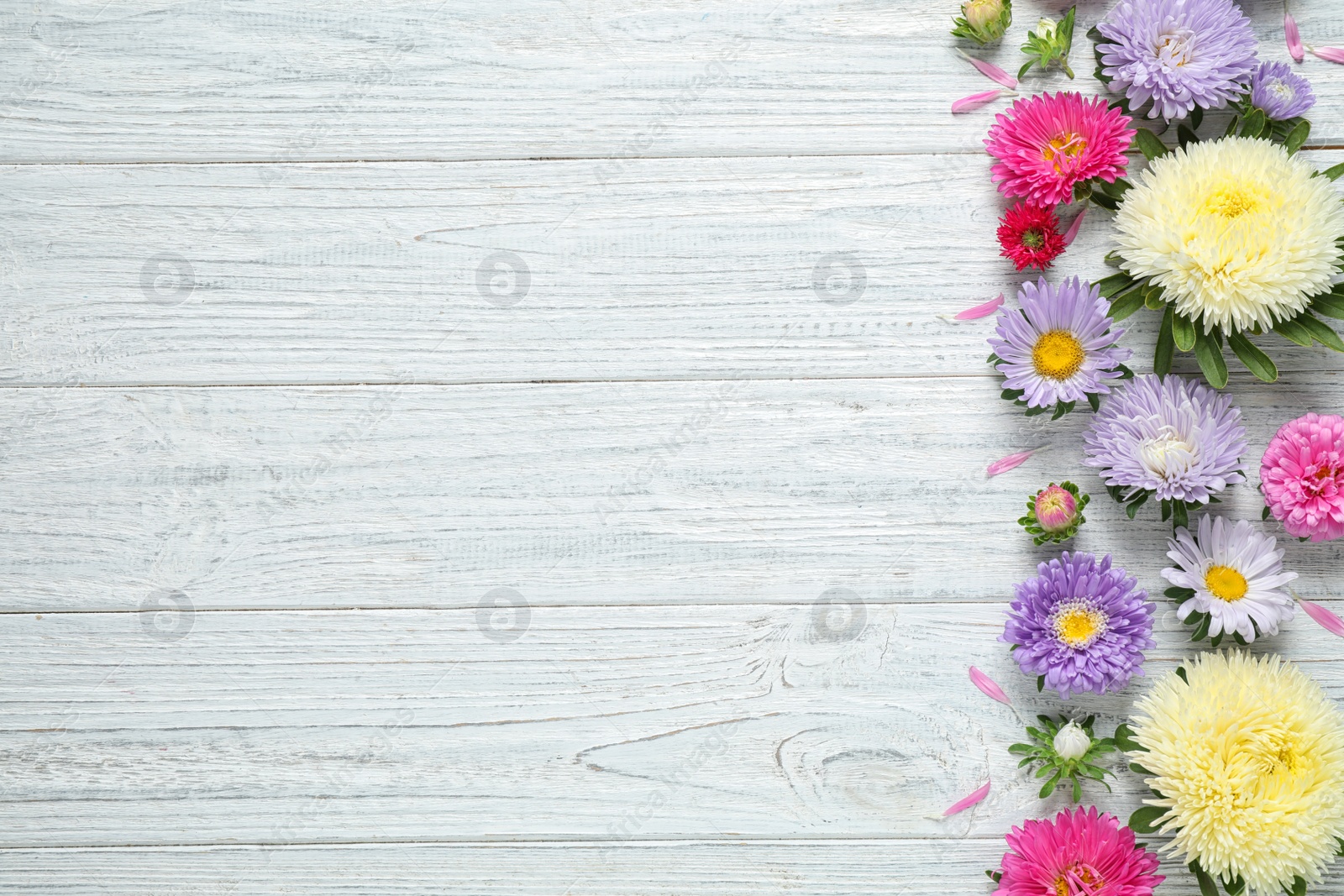 Photo of Flat lay composition with beautiful aster flowers on white wooden table. Space for text