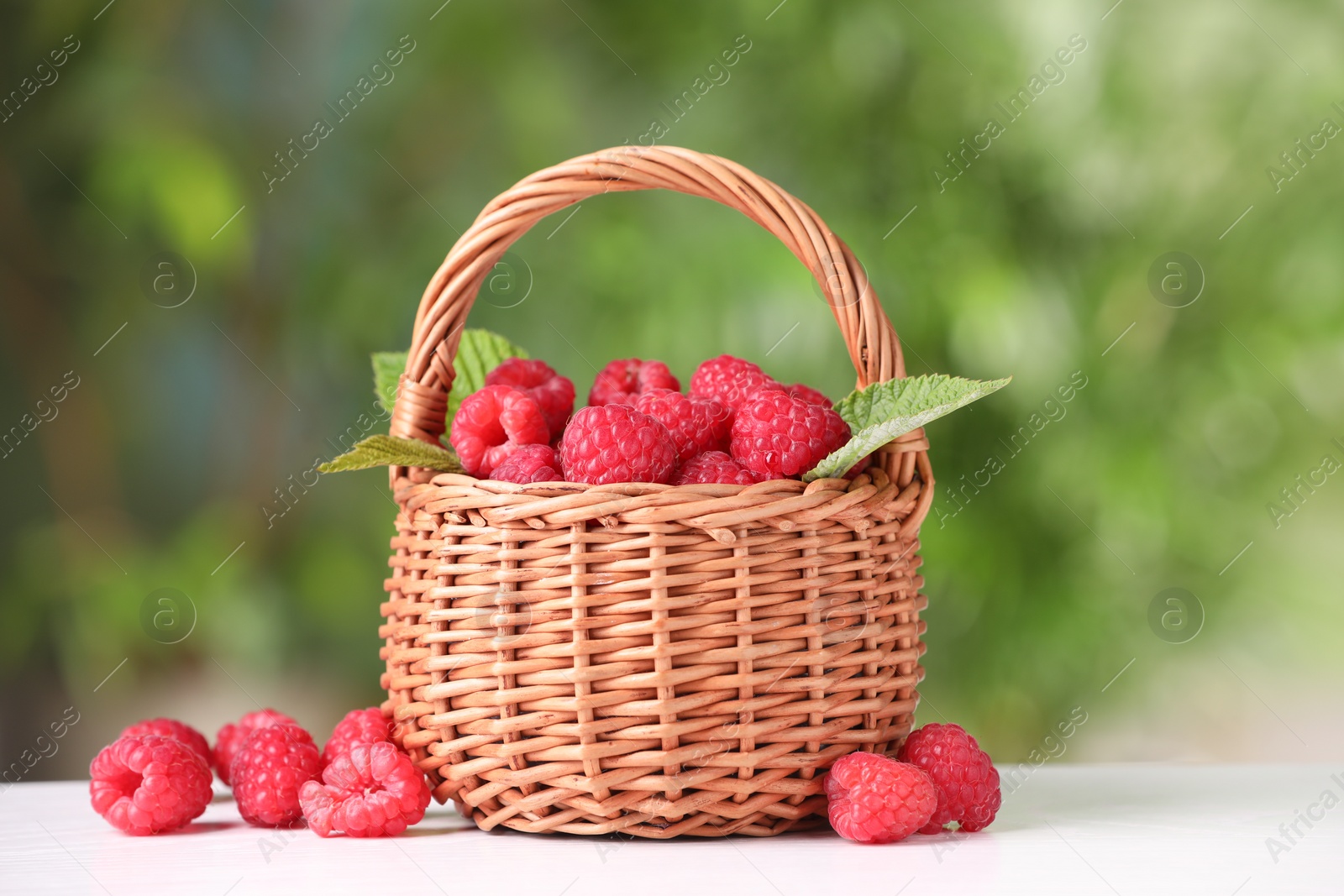 Photo of Wicker basket with tasty ripe raspberries and leaves on white table against blurred green background