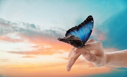 Image of Woman holding beautiful morpho butterfly against sunset sky, closeup