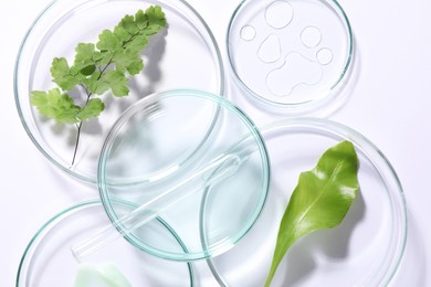 Organic cosmetic ingredients and laboratory glassware on white background, top view