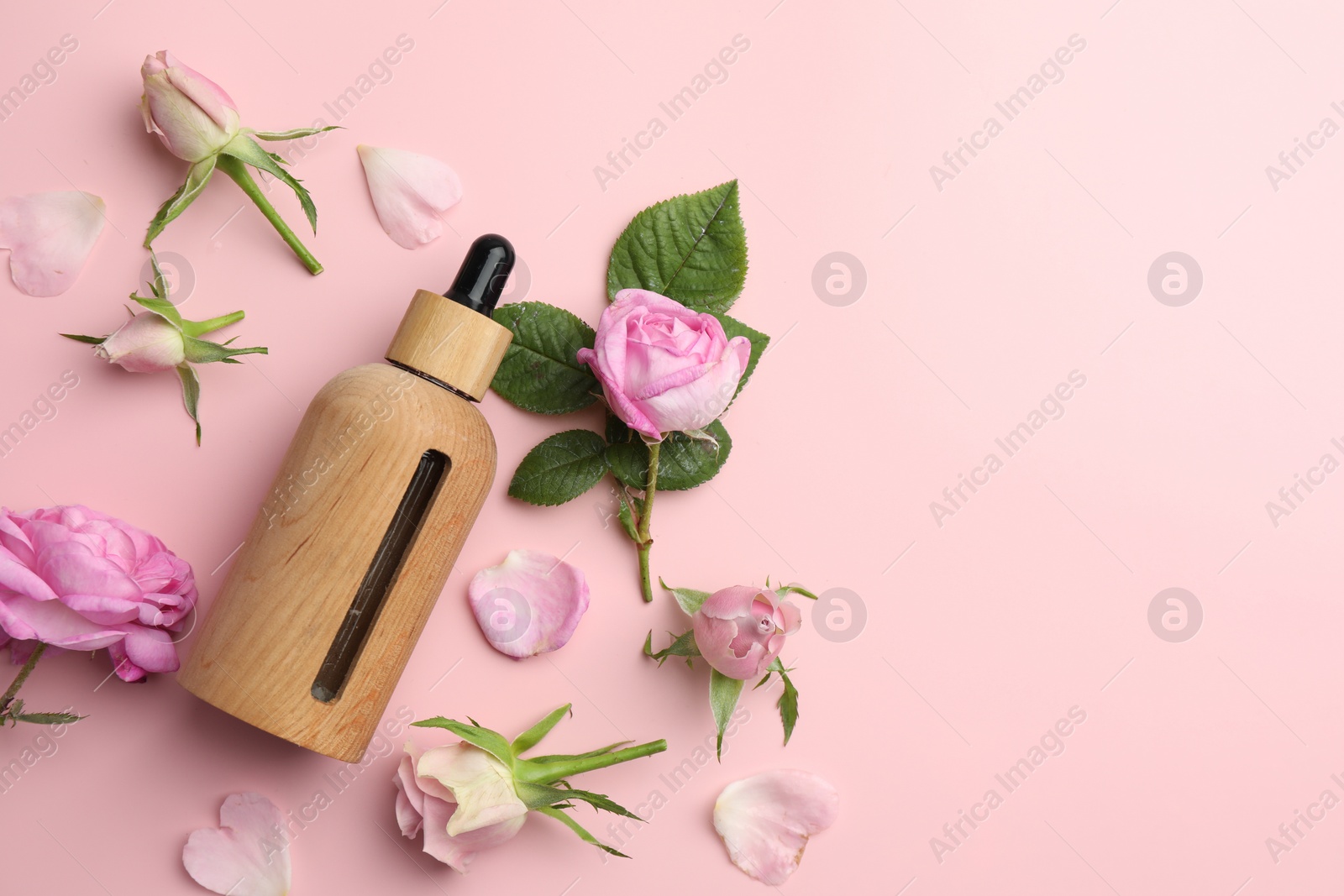 Photo of Aromatherapy. Essential oil, flowers and green leaves on pink background, flat lay. Space for text