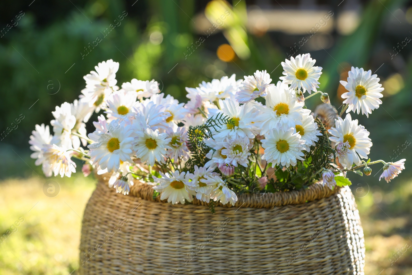 Photo of Beautiful wild flowers in wicker basket on blurred background, closeup