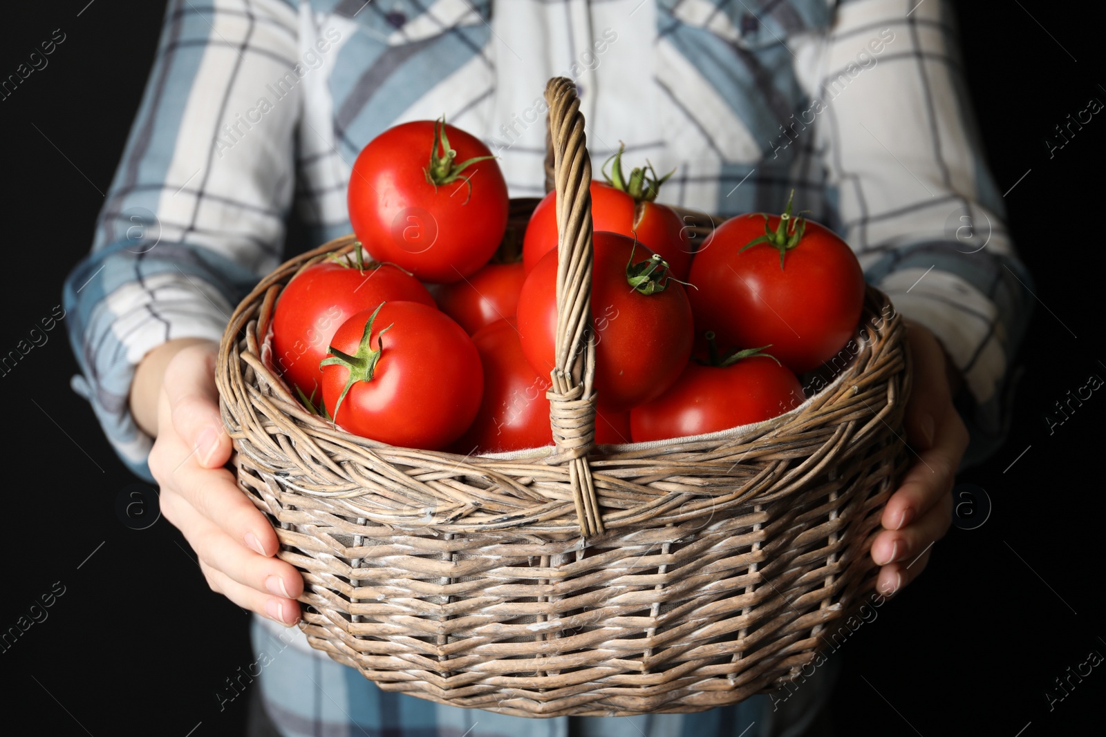 Photo of Woman with basket of ripe tomatoes on black background, closeup