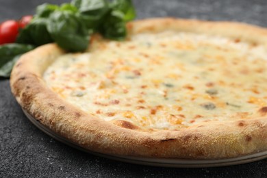 Delicious cheese pizza and basil on black textured table, closeup