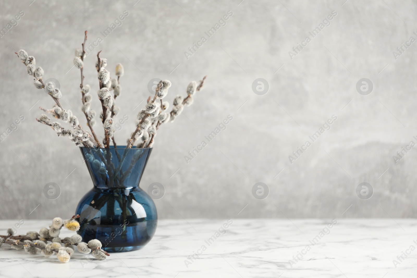 Photo of Beautiful pussy willow branches on white marble table, space for text