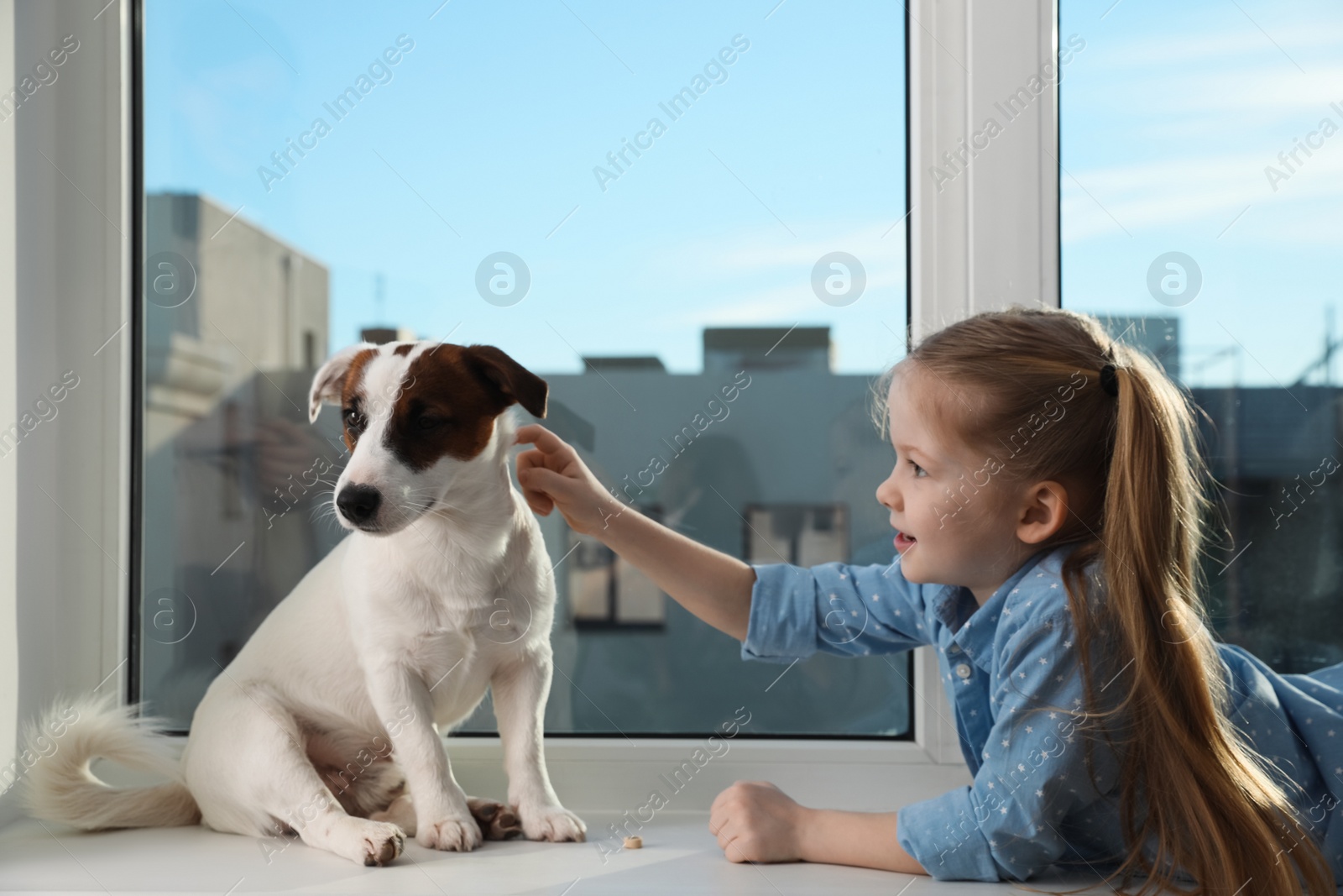 Photo of Cute little girl with her dog on window sill indoors. Childhood pet