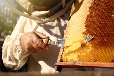 Senior beekeeper uncapping honeycomb frame with knife at table outdoors, closeup