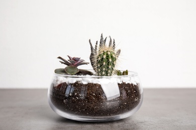 Photo of Glass florarium with different succulents on table against white background