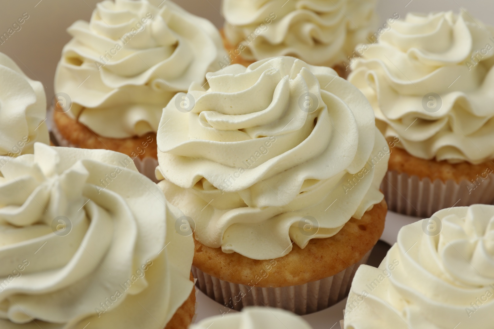 Photo of Tasty cupcakes with vanilla cream in box, closeup