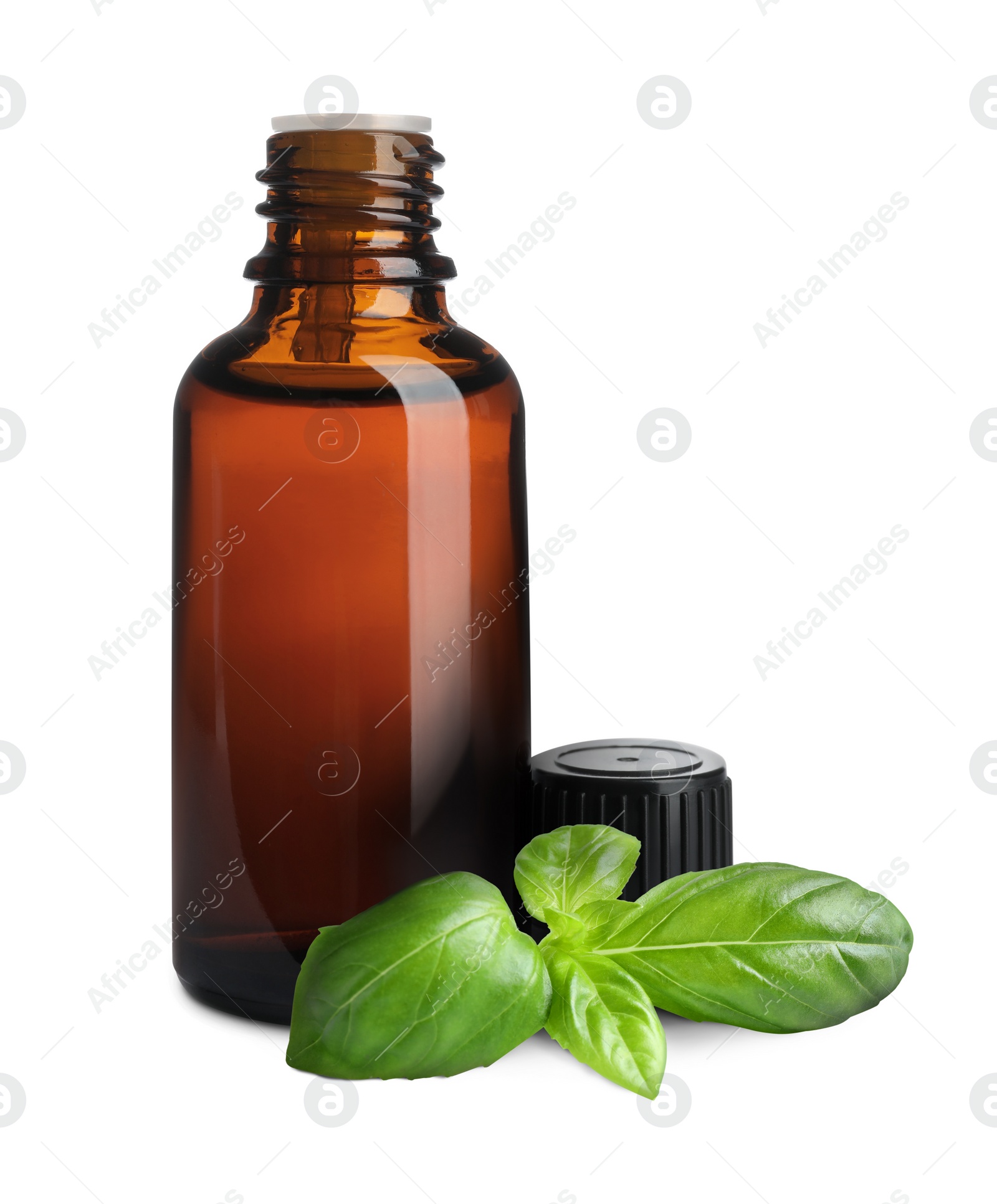 Image of Bottle of basil essential oil and green leaves on white background