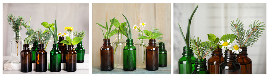 Collage of different photos with essential oils and plants. Banner design