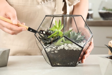 Photo of Young woman making florarium of different succulents at table, closeup