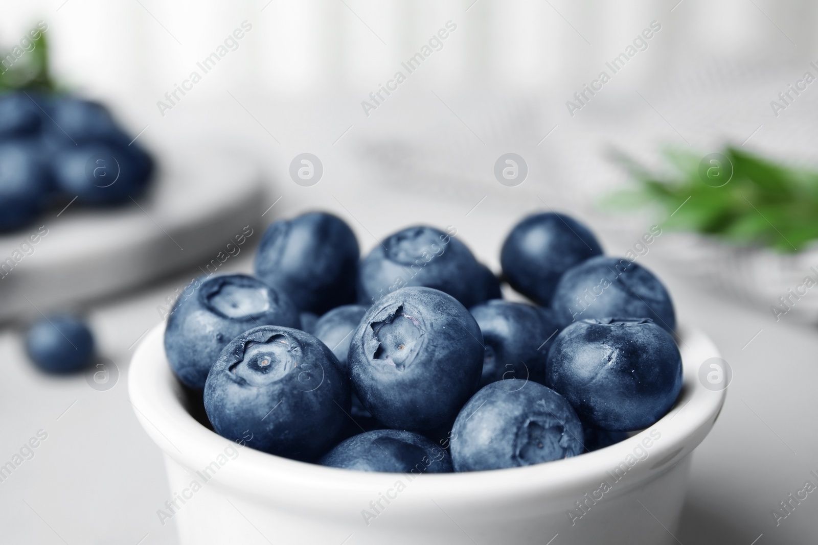 Photo of Bowl of tasty blueberries on table, closeup