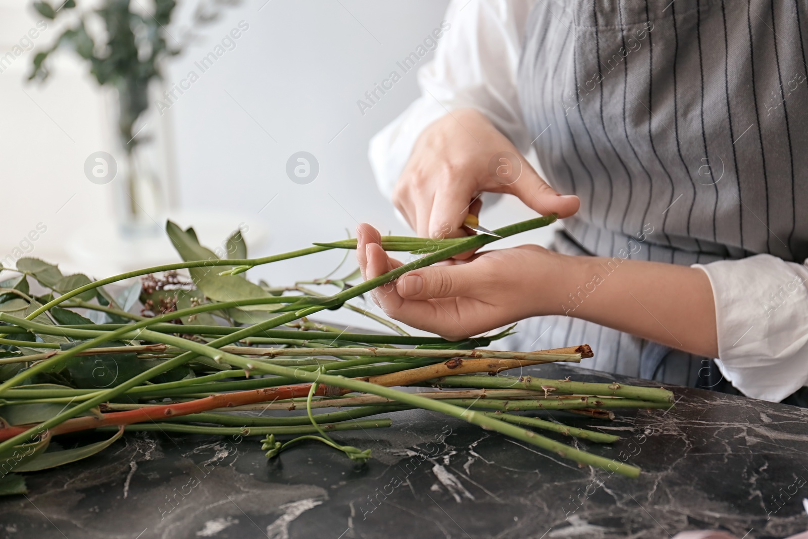 Photo of Female florist pruning stem over table, closeup