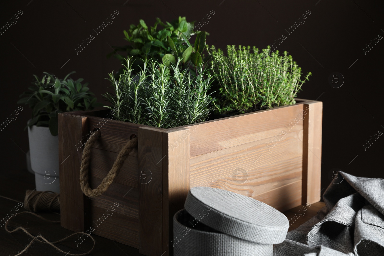 Photo of Different aromatic potted herbs on wooden table