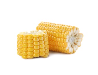 Photo of Tasty sweet corn cob on white background