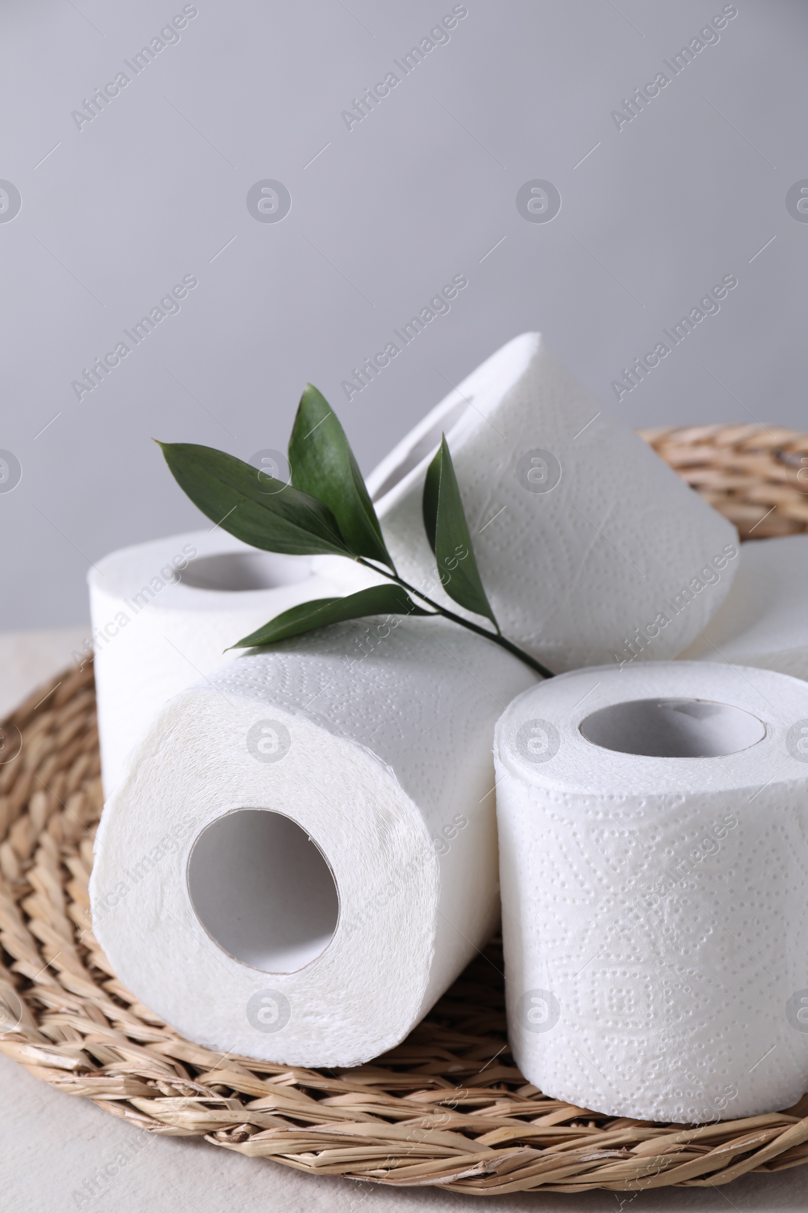 Photo of Toilet paper rolls and green leaves on white table