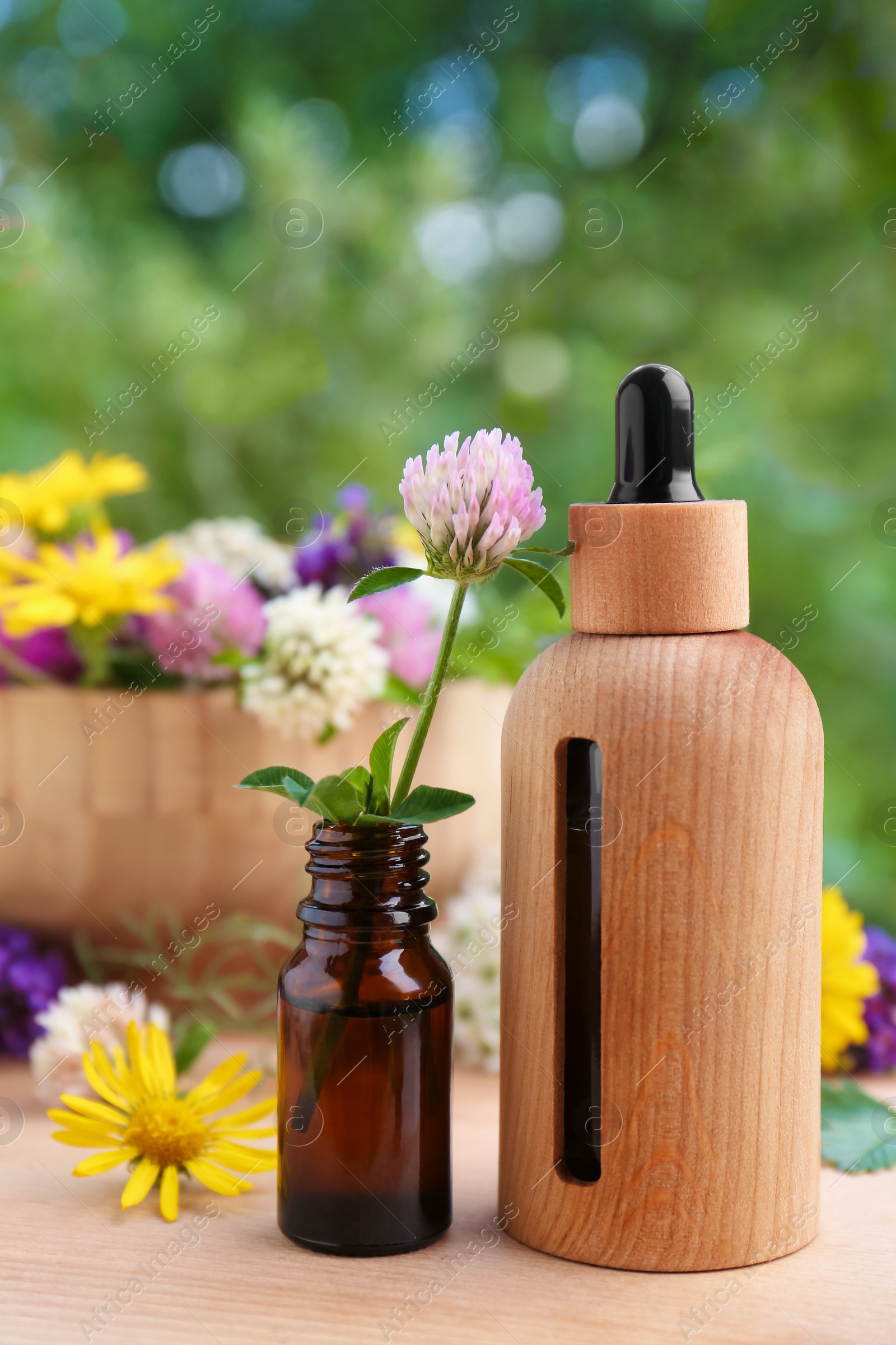 Photo of Bottles of essential oil and flowers on wooden table, closeup