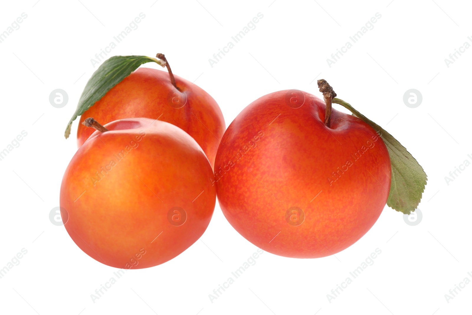 Photo of Delicious ripe plums with leaves isolated on white