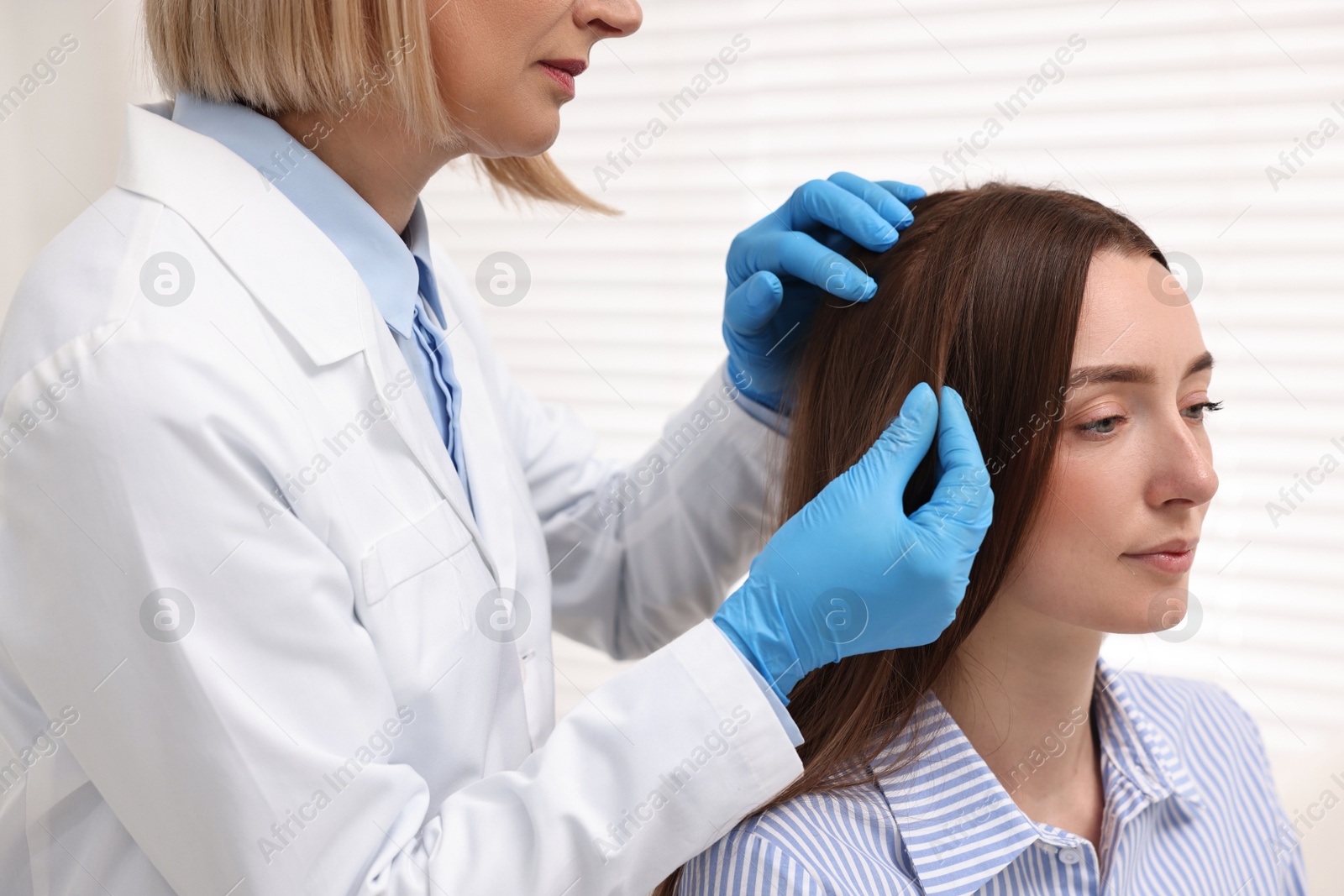 Photo of Trichologist examining patient`s hair in clinic, closeup