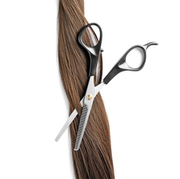 Light brown hair and thinning scissors on white background, top view. Hairdresser service