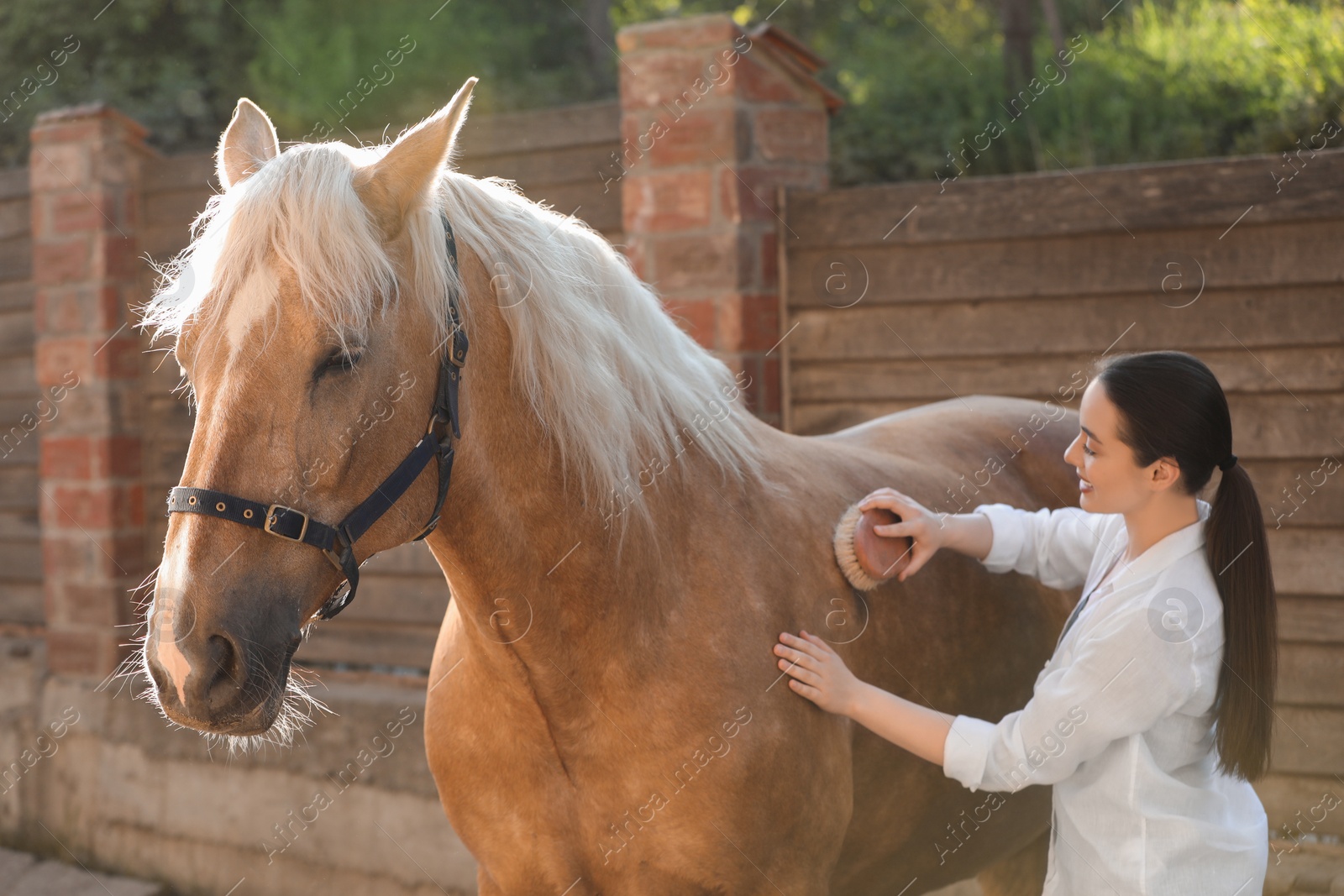 Photo of Woman brushing adorable horse outdoors. Pet care