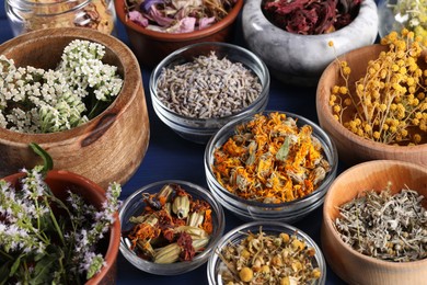 Many different herbs in bowls on blue table