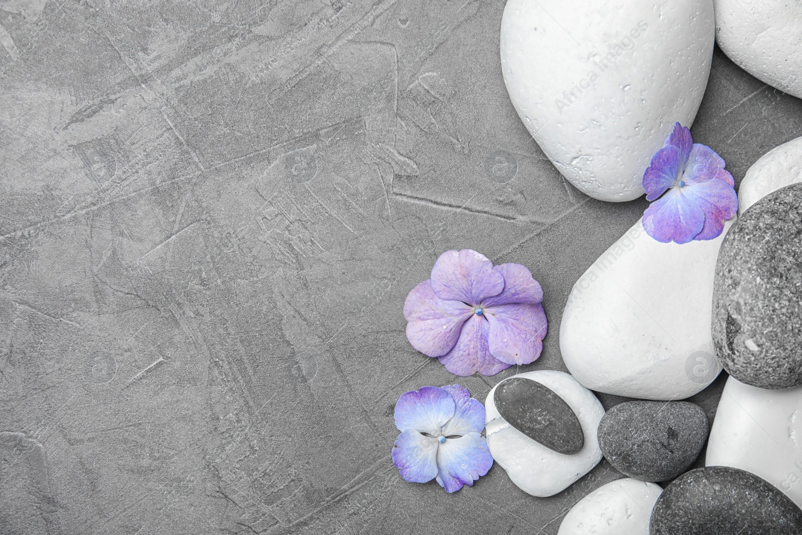 Photo of Zen stones and exotic flowers on grey background, top view with space for text