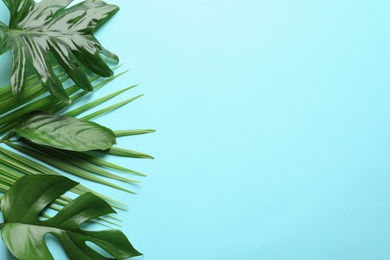 Different tropical leaves on color background, top view